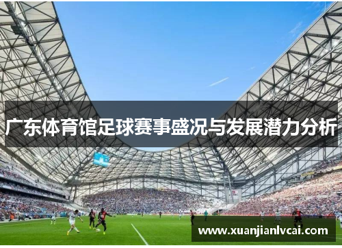 广东体育馆足球赛事盛况与发展潜力分析