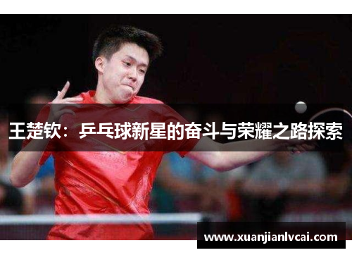 王楚钦:乒乓球新星的奋斗与荣耀之路探索